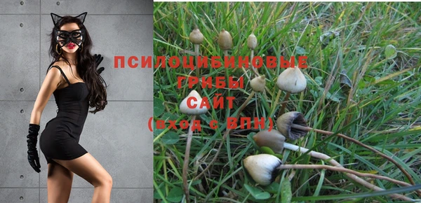 не бодяженный Верхний Тагил
