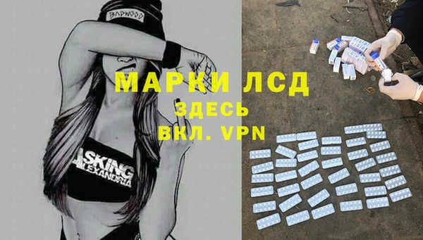 спайс Верея