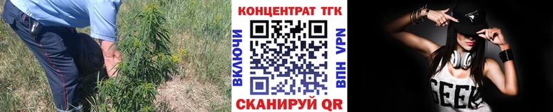 сколько стоит  Кохма  Дистиллят ТГК вейп 