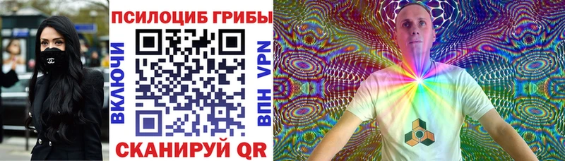 Псилоцибиновые грибы Psilocybine cubensis  Кохма 