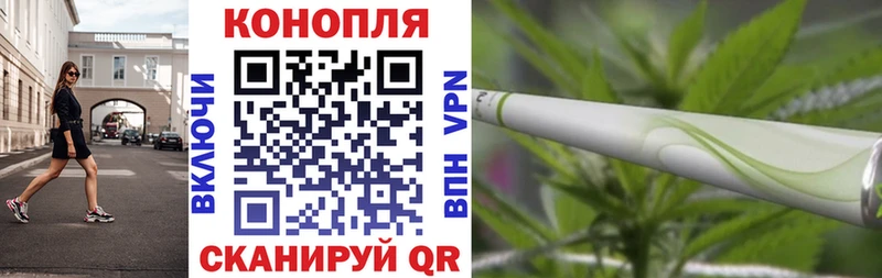 Бошки марихуана Amnesia Кохма